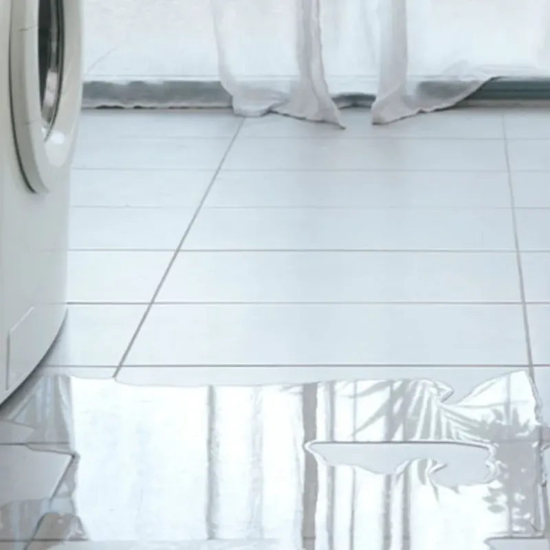 Appliance Leak Cleanup in Lakewood, CA